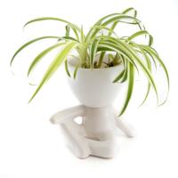 Bloempot Mannetje Chillend Wit