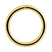 Continuous Ring Verguld chirurgisch staal 316L Piercingringen