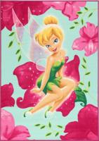 Disney vloerkleed Fairies Tinkerbell 140 x 80 cm