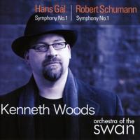 Gal & Schumann: Symphonies - CD (0822252223323)
