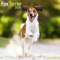 Fox Terrier Calendar 2026 Square Dog Breed Wall Calendar - 16 Month