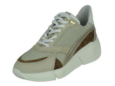 Via-Vai Celina Via-Vai Celina