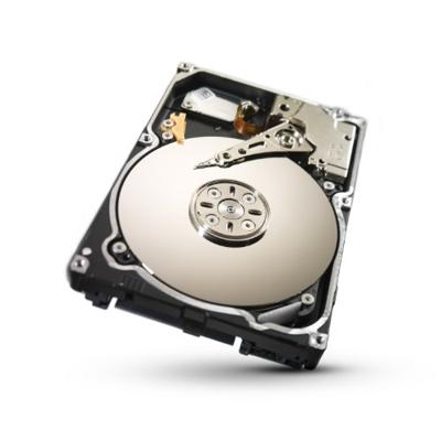 Seagate ST91000640NS CONSTELLATION.2 1000 GB