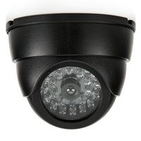 SEC24 Dummy Camera Dome