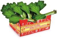 Small Foot prei box hout junior 17 x 14 x 8,5 cm 13 delig