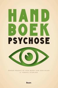 Handboek psychose (Paperback)