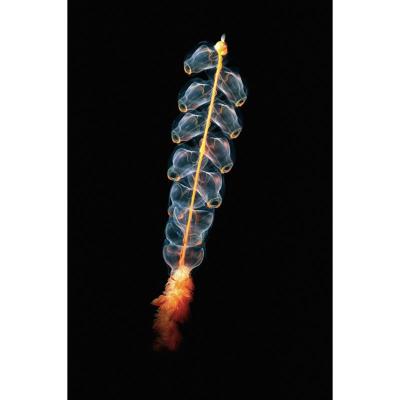 Wanddecoratie Wonderful Life 019 98x148cm