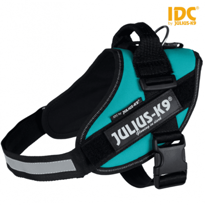 Julius-K9 IDC Tuig Petrol Hondenhalsband, hondentuig & hondenlijn Julius-K9 IDC Tuig Petrol Hondenhalsband, hondentuig & hondenlijn