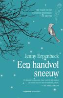 Een handvol sneeuw - Jenny Erpenbeck - ebook