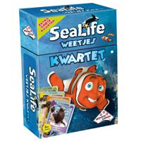 Sealife Kwartet - thumbnail