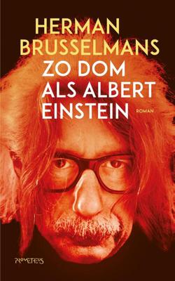 Zo dom als Albert Einstein - Herman Brusselmans - eBook (9789044640045)