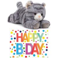 Cadeau setje pluche grijze kat/poes knuffel 25 cm met Happy Birthday wenskaart
