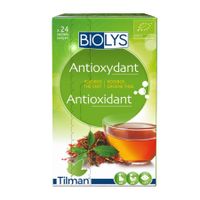 Biolys Rooibos Groene Thee Sach 24