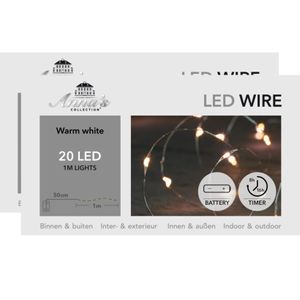 Draadverlichting lichtsnoeren - 2x st- zilver- 20 leds- warm wit - 100 cm