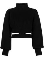 ANDREĀDAMO roll-neck cropped knit jumper - Noir