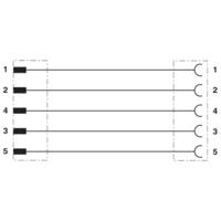 Phoenix Contact 1416137 Sensor/actuator aansluitkabel Aantal polen: 5 2.00 m 1 stuk(s) - thumbnail