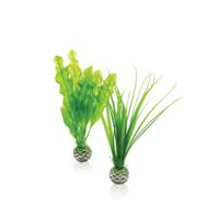 Biorb N-Plantenset S groen