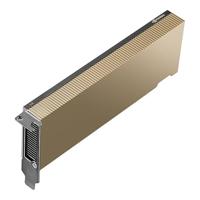 PNY NVIDIA L4-module 24 GB