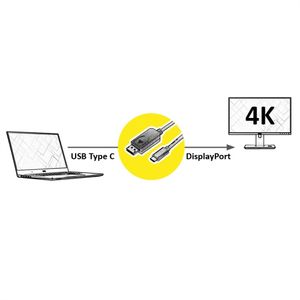 Value 11.99.5846 video kabel adapter 2 m DisplayPort USB Type-C Zwart