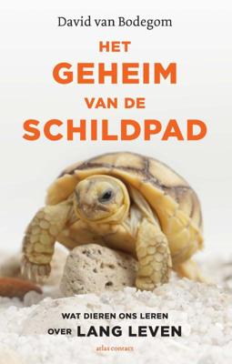 Het geheim van de schildpad Het geheim van de schildpad