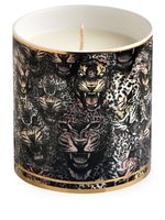 Roberto Cavalli Home bougie parfumée Queen Of Arizona (270g) - Noir