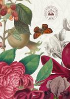 Royal Botanical Gardens Kew Lined Notebook: Plastic Free Packaging