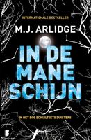 In de maneschijn - M.J. Arlidge - ebook