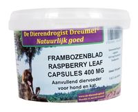 DIERENDROGIST FRAMBOZENBLAD CAPSULES 400 MG 100 ST - thumbnail