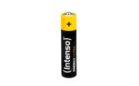 Intenso Energy-Ultra AAA batterij (potlood) Alkaline 1.5 V 10 stuk(s)