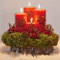 Decoratiepin set van 4 Féron