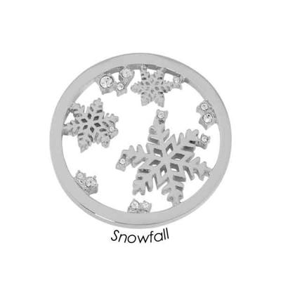 Quoins QMB-39L-E Disc Black Label Snowfall zilverkleurig Large