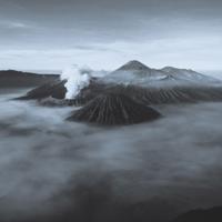 Wanddecoratie Art of Nature 015 74x74cm