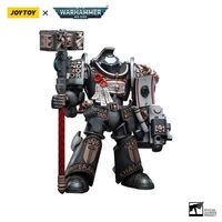 Warhammer 40k Action Figure 1/18 Grey Knights Terminator Caddon Vibova 13 cm - thumbnail