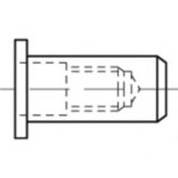 TOOLCRAFT TO-5455272 Popmoer M6 500 stuk(s)