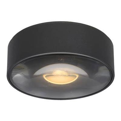 Lucide RAYEN - Plafondspot Badkamer - Ø 10 cm - LE