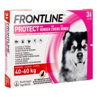 Frontline Protect Spot On Opl Hond 40-60kg Pipet 3 - thumbnail