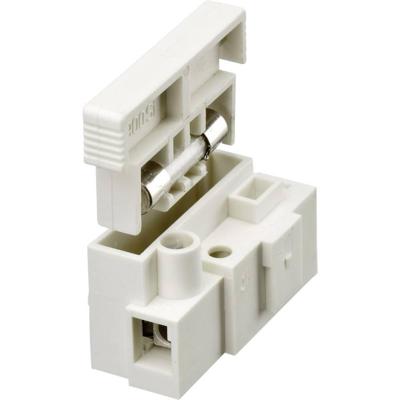 Adels-Contact 20229 Kroonsteen Flexibel: 2.5-4 mm² Massief: 2.5-4 mm² Aantal polen: 1 1 stuk(s) Wit Adels-Contact 20229 Kroonsteen Flexibel: 2.5-4 mm² Massief: 2.5-4 mm² Aantal polen: 1 1 stuk(s) Wit