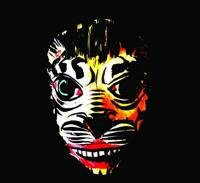 Turquoise Purple Pink - CD (4250137204840)