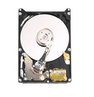 Western Digital WD800BEVS Scorpio Blue 80GB interne harde schijf (6,4 cm (2,5 inch), 5400RPM, 8MB cache, S-ATA)