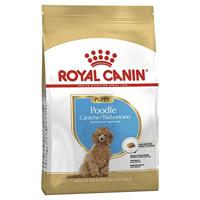 Royal Canin Poodle Puppy | 3 kg | Volledig voer voor Poedel-puppy’s | Tot 10 maanden | Ter ondersteuning van de afweer en vachtkwaliteit | Met Omega-3 en antioxidanten