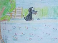 De avonturen van Blacky - Nupur Geerds-Deen - Paperback (9789402133295)