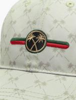 Cayler & Sons / snapback cap WL Good Day Curved in beige