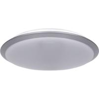 LED Plafondlamp - Aigi Ashly - Opbouw Rond 24W - Natuurlijk Wit 4000K - Mat Zilver - Aluminium