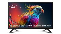 DYON Enter 22 Pro X2 55 cm (22 inch) Full-HD TV (Triple Tuner (DVB-C/-S2/-T2), hotelmodus, USB-mediaspeler, modeljaar 2023, zwart