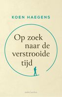 Op zoek naar de verstrooide tijd - Koen Haegens - ebook - thumbnail