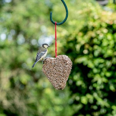 Zonnebloemkernen Hart Zonnebloemkernen Hart