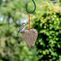 Zonnebloemkernen Hart