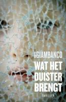Wat het duister brengt - V.M. Giambanco - ebook