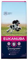 Eukanuba Puppy puppy puppy voor middelgrote rassen – gebalanceerd droogvoer met verbeterde, nieuwe formule voor puppy's in de leeftijd van 1 – 12 maanden in de smaak kip – 1 x zakje van 12 kg