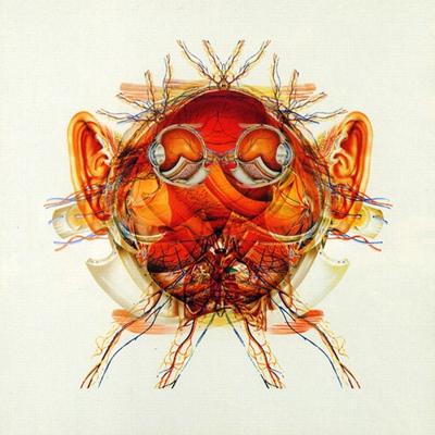 Schematic - CD (5016958057527)